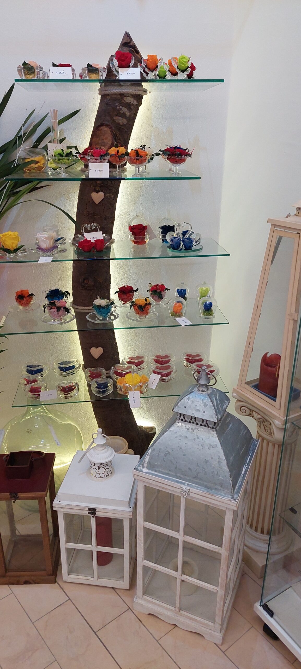 rose gialle e stelle alpine composizione rose gialle e stelle alpine composizione