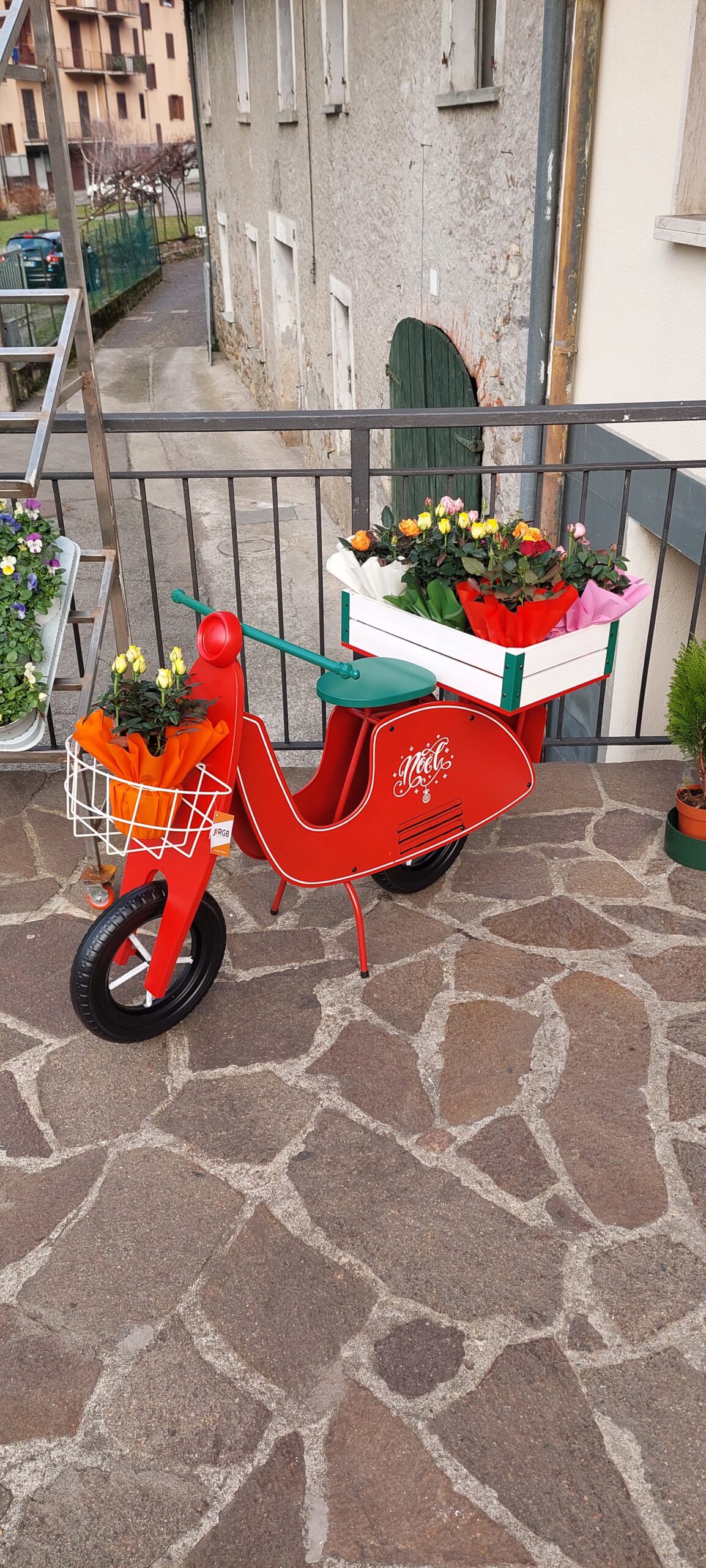 rose gialle e stelle alpine composizione rose gialle e stelle alpine composizione