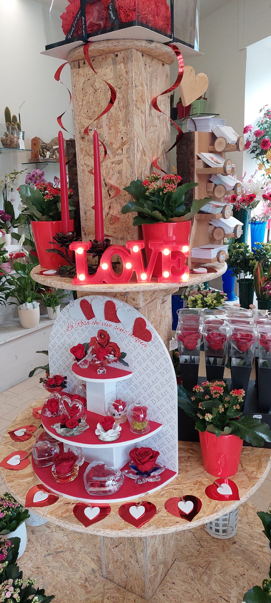 rose rosa composizione Rose rosa composizione