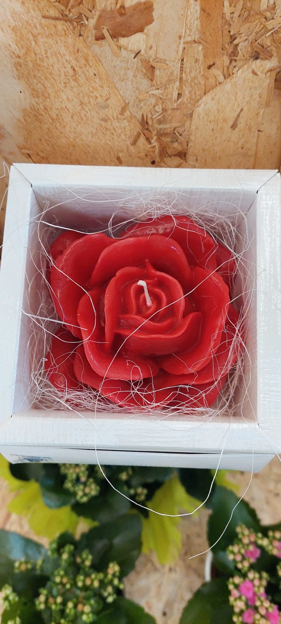 rose gialle e stelle alpine composizione rose gialle e stelle alpine composizione