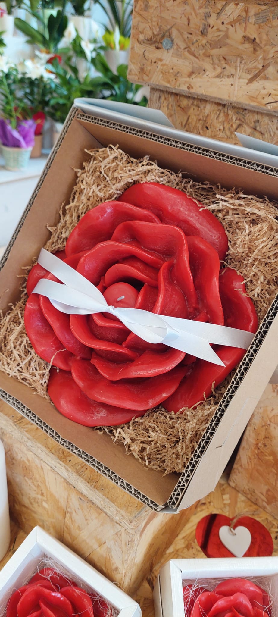 rose gialle e stelle alpine composizione rose gialle e stelle alpine composizione