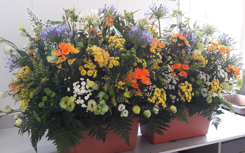 vasi con piante dai fiori colorati