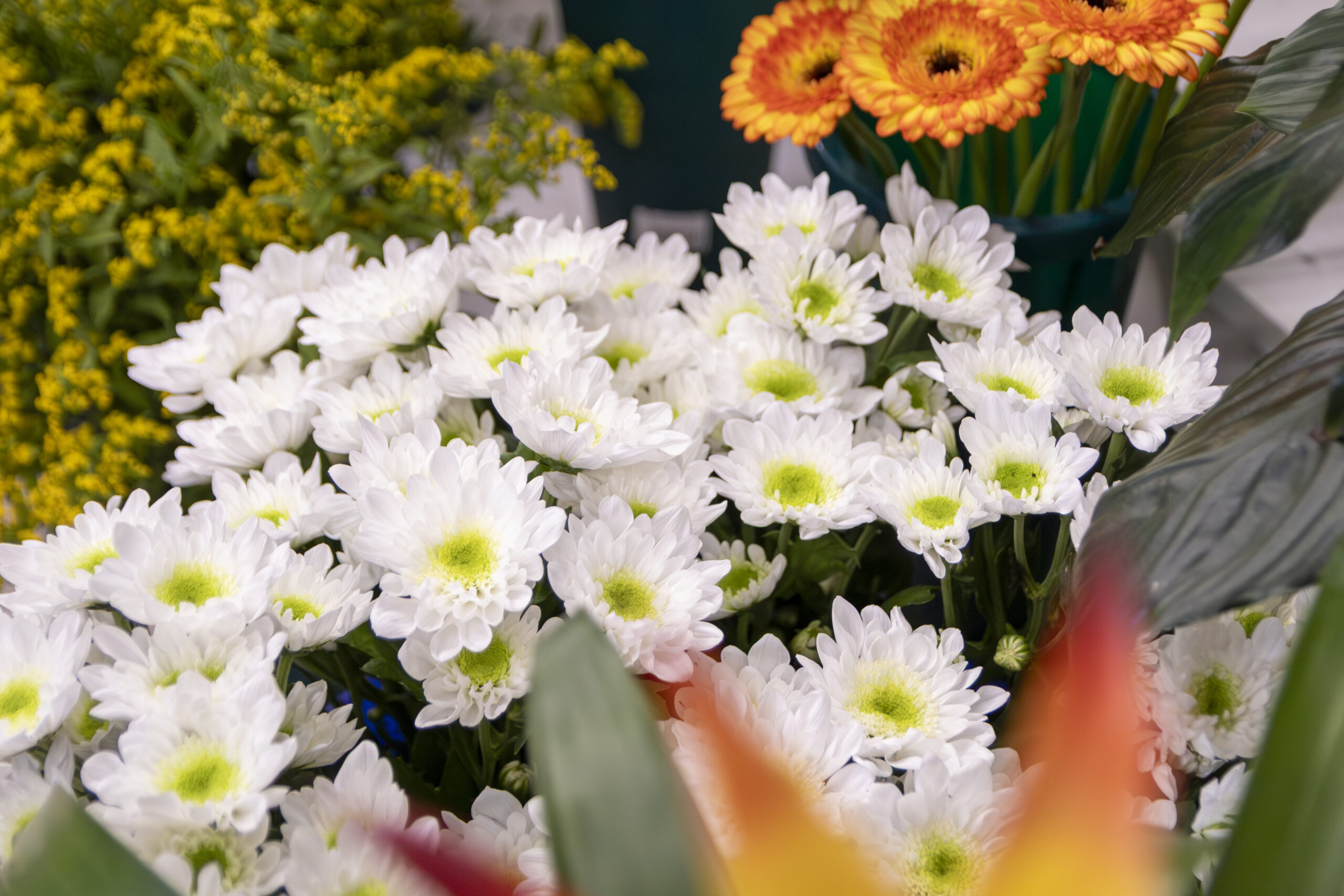 lanterne bianche con composizione floreale di rose rosse e bianche